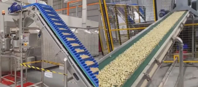 ứng dụng băng tải z và băng tải nghiêng cách lựa chọn băng tải cấp liệu