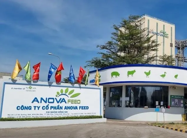 dự án bộ trộn nhão cho nhà máy anova feed đồng nai