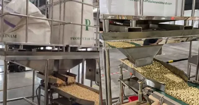 hopper cấp liệu đơn đôi