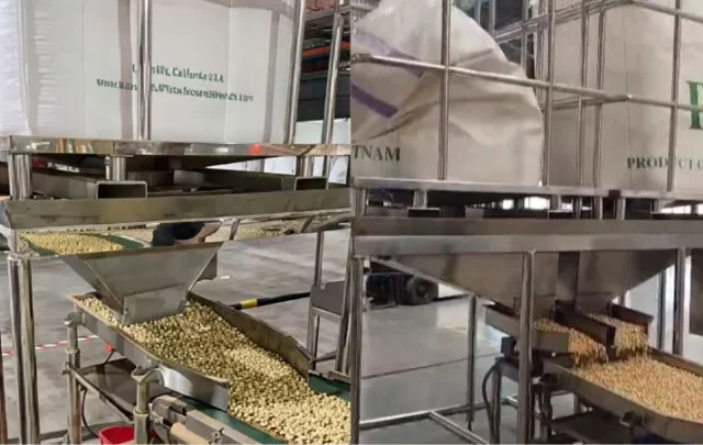 hopper cấp liệu đơn khác gì hopper cấp liệu đôi