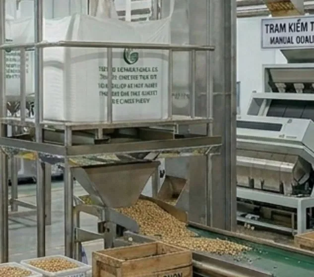 ứng dụng hopper cấp liệu